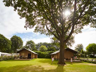 beste bungalowpark Nederland